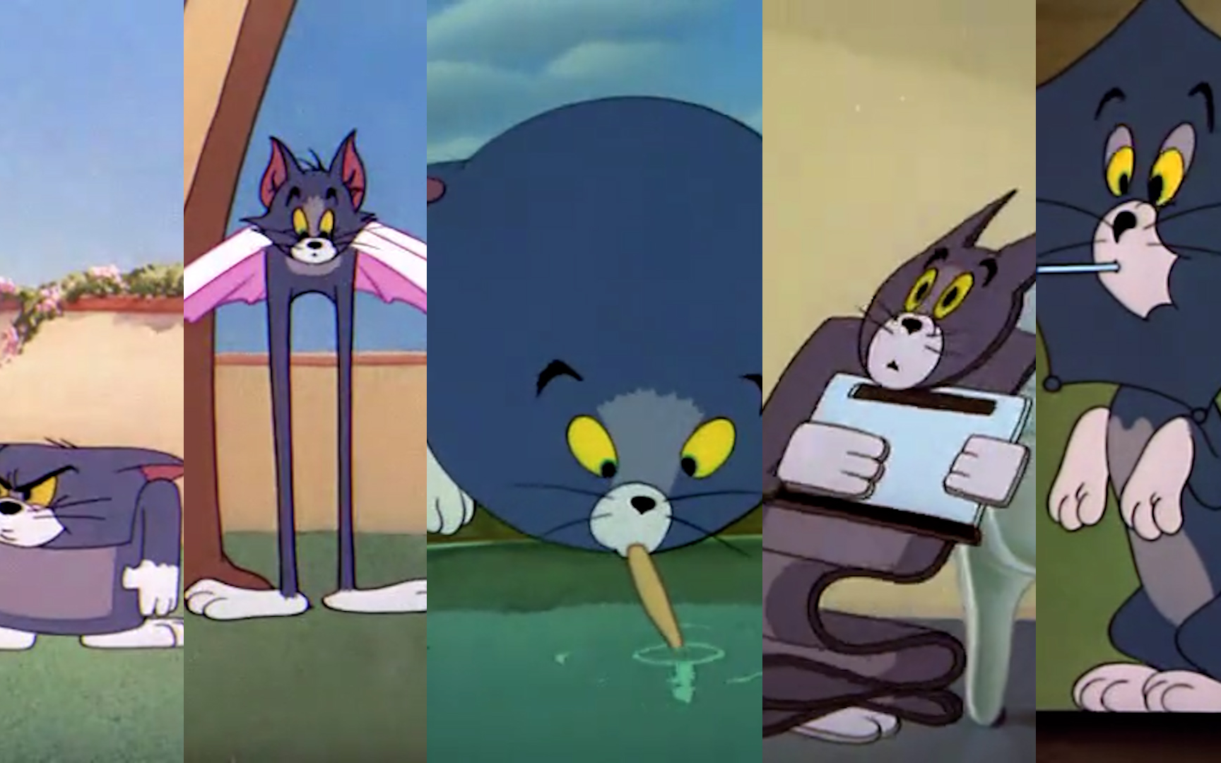 就没有我汤姆变不了的形