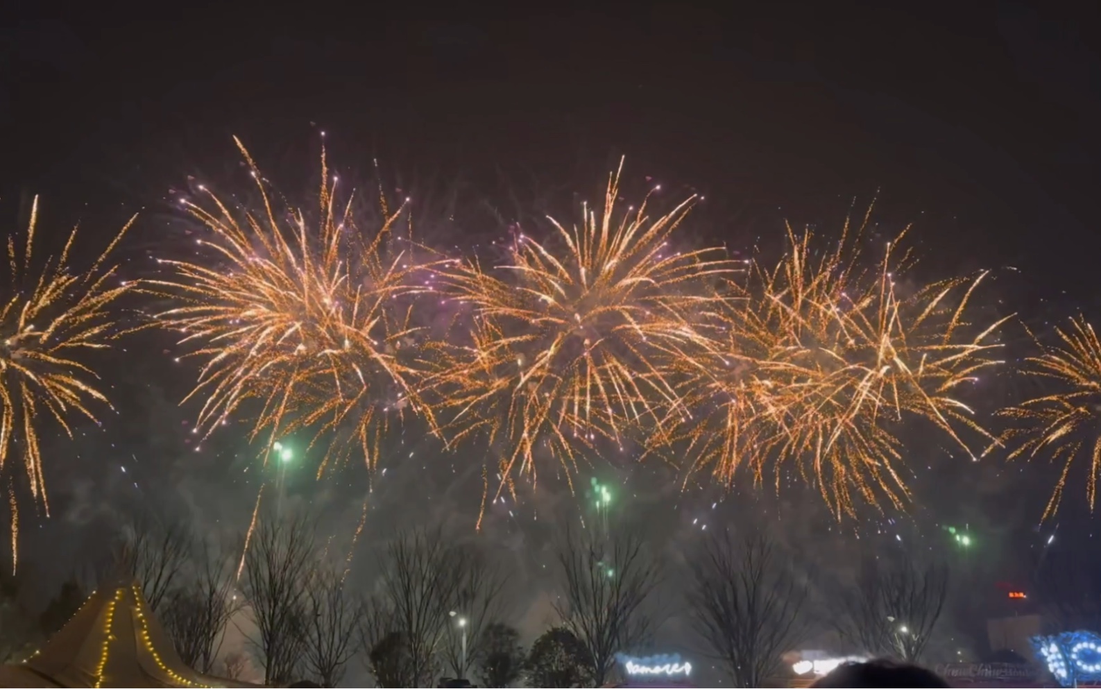 2023年元旦江苏园博园跨年烟花秀