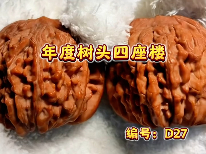2024年度树头,原生态老树一代平谷四座楼狮子头,核桃界天花板!