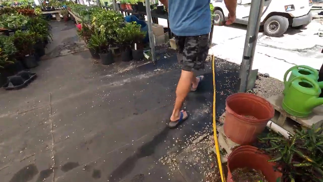 与路易莎钓鱼-与luiza进行园艺!