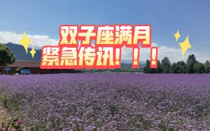 Descargar video: 【双子座满月紧急传讯！】有一个人为你上头。正在深深地暗恋着你，面对曾经的欺骗，隐瞒 ta深刻反省！