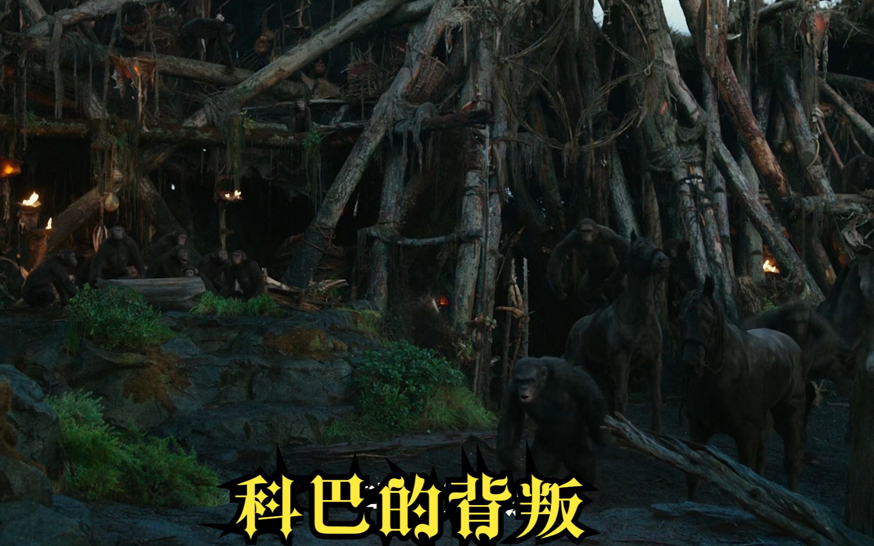 猩球崛起8(科巴的背叛)科巴枪击凯撒,夺取猿族王位