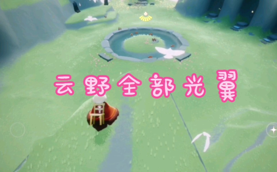 光遇云野全部光翼