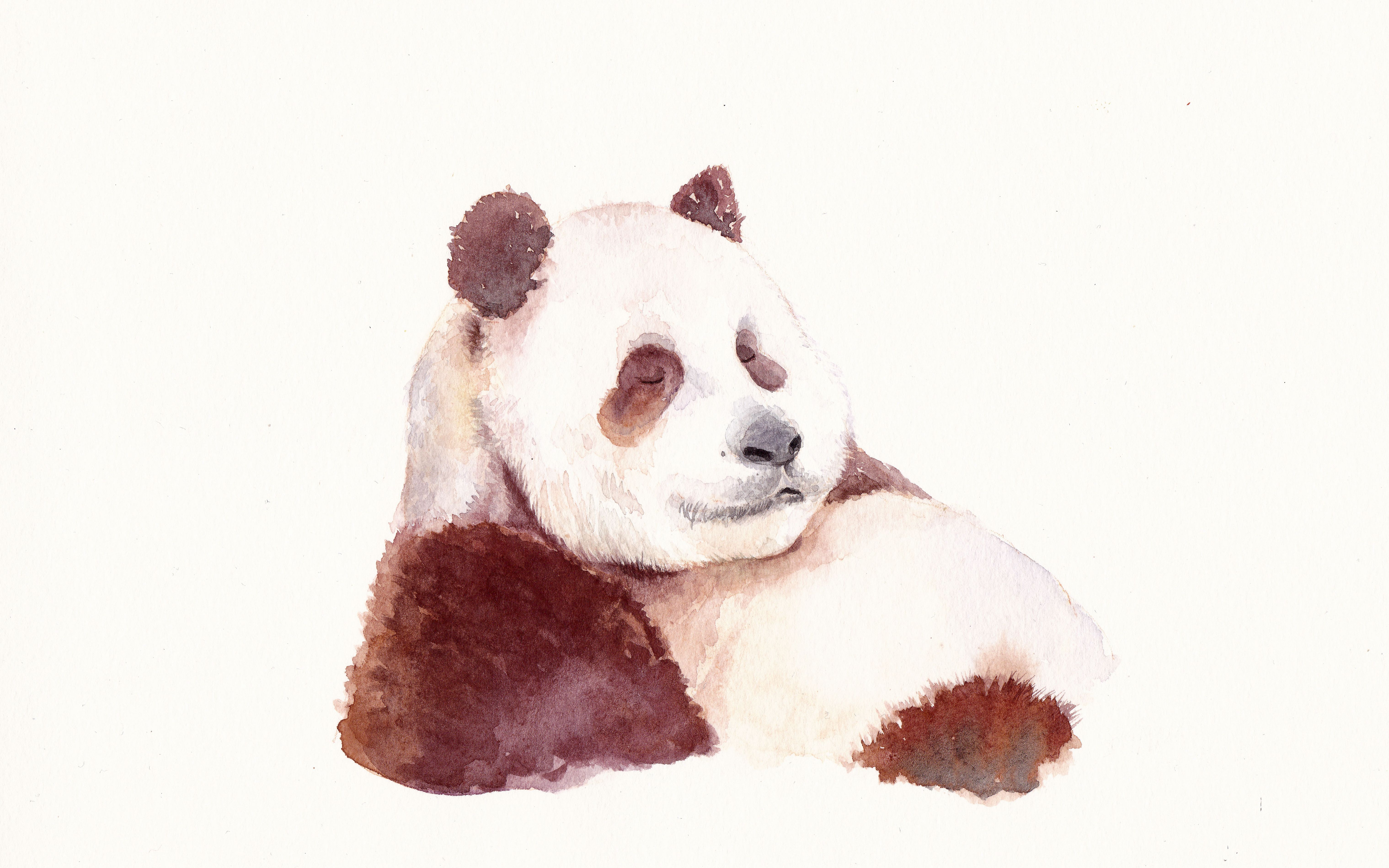 【水彩】熊猫七仔第二张绘画过程