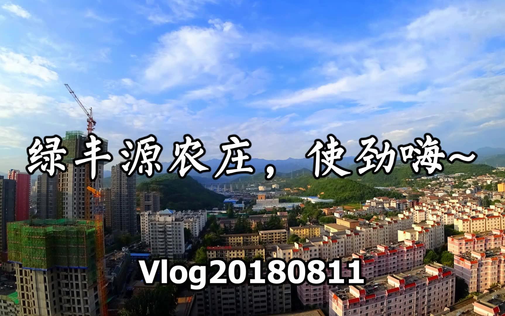 绿丰源农庄使劲嗨Vlog20180811哔哩哔哩bilibili