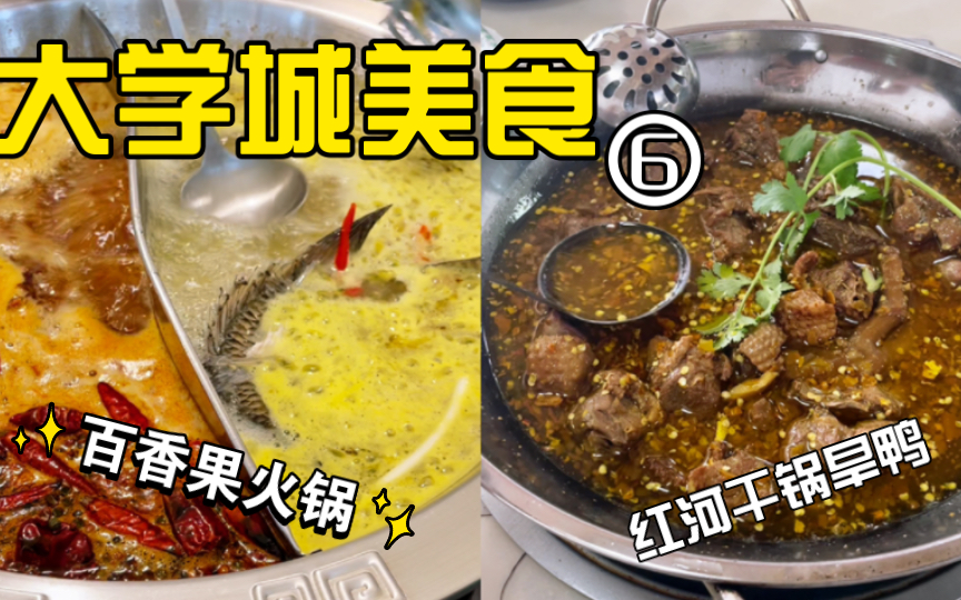 【呈贡美食】神奇的百香果火锅、红河干锅旱鸭和傣味手抓饭,云南的味道我知道!!哔哩哔哩bilibili