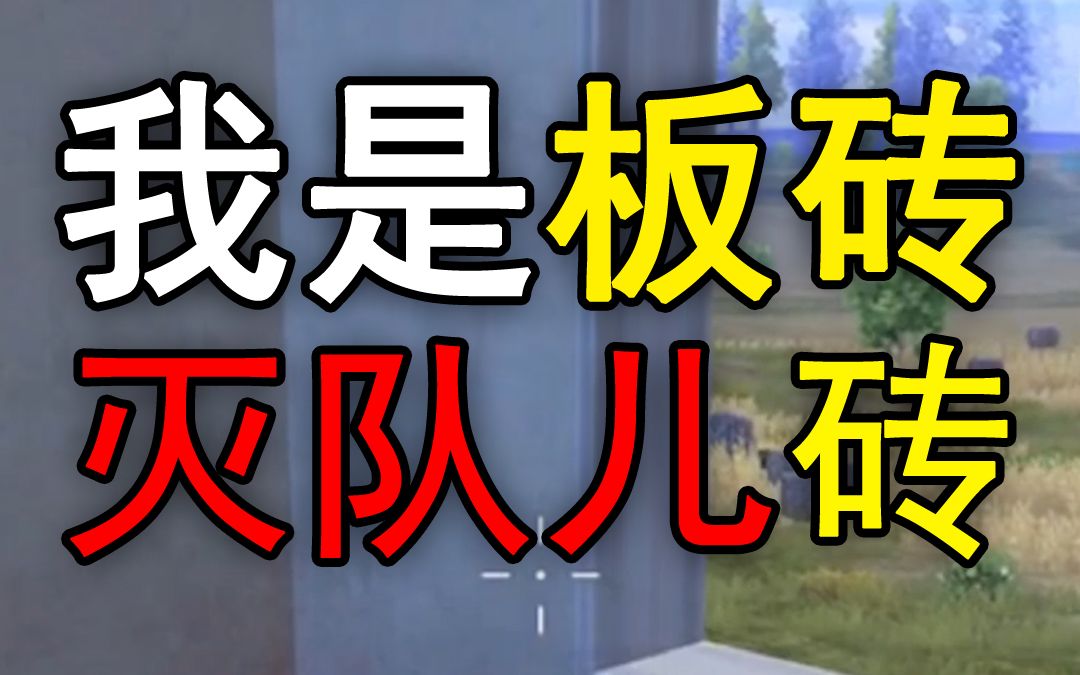 【和平精英】我是板砖,灭队儿砖~哔哩哔哩bilibili