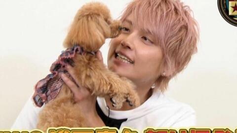 手越祐也 Instagram限时动态搬运 哔哩哔哩 Bilibili