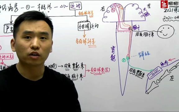 [图]神经病学概论2