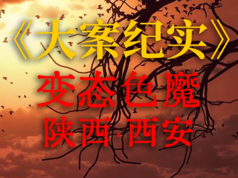 大案纪实|真实故事|陕西西安|变态色魔|电子榨菜哔哩哔哩bilibili