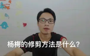 Video herunterladen: 杨梅果树怎么修剪更好？有什么技巧吗？