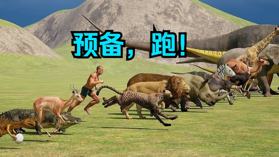 地球生物奔跑比赛