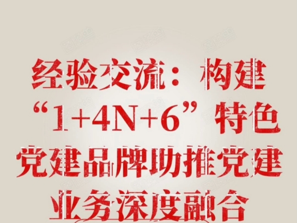 经验交流:构建“1+4N+6”特色党建品牌助推党建业务深度融合哔哩哔哩bilibili