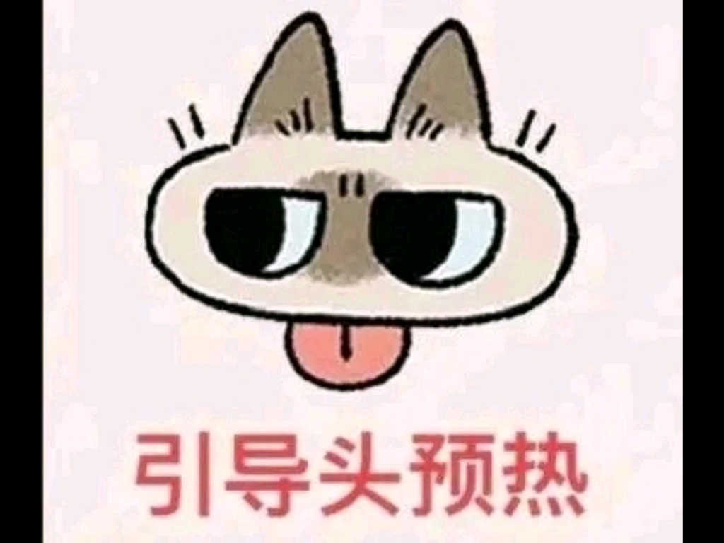 战雷猫猫表情战争雷霆