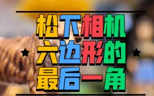 Download Video: 松下相机六边形最后一角-M4/3首台相位对焦G9M2——《松下Lumix相机性能实际测试篇》