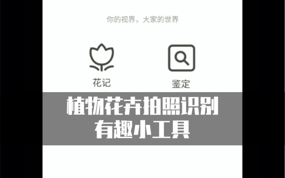 植物花卉拍照识别实用工具软件