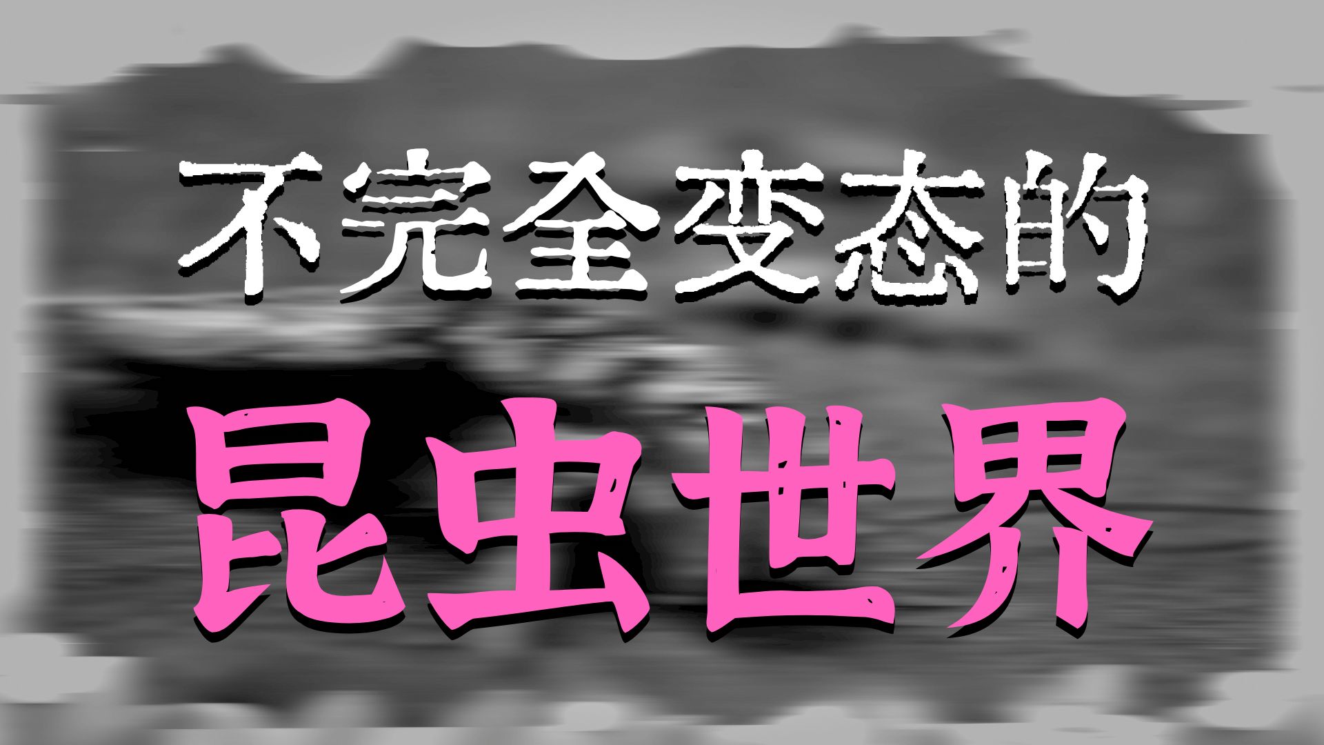 进化是不是忘了衣鱼？别的虫都升级了，就衣鱼还是初始皮肤