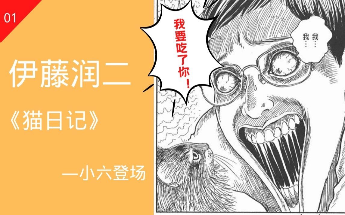 ＂我要吃了你!“,恐怖漫画作家和猫咪的故事,伊藤润二漫画《猫日记》第一话——小六登场哔哩哔哩bilibili