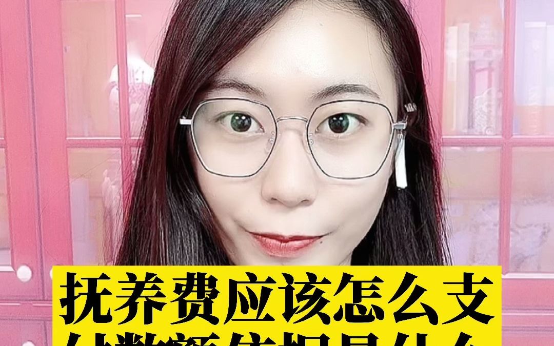 抚养费应该怎么支付数额依据是什么?哔哩哔哩bilibili