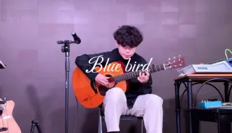 Скачать видео: Blue bird · 伍伍慧 Satoshi gogo  翻弹 Live