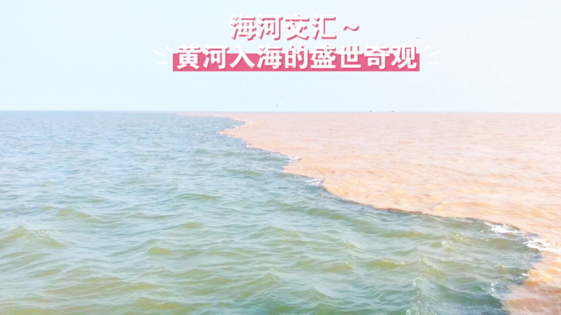 女生黄河入海流图片