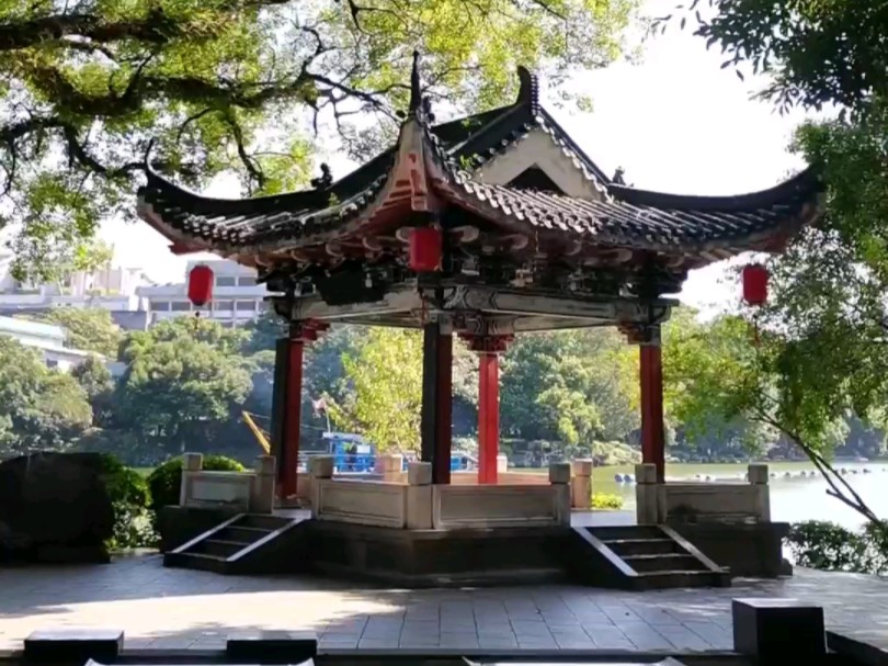 榕湖图书馆前面的古榕大道～最大的800年历史～路两旁的也都上100年了