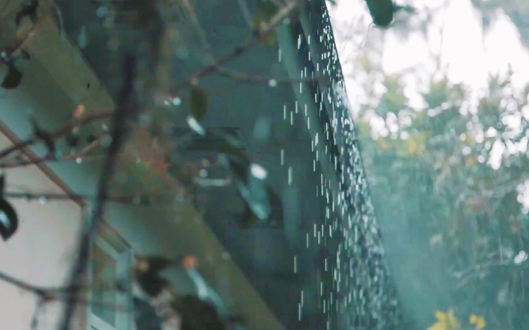 [图]自然治愈 / 雨天的小风景与雨声~午后的休闲时刻