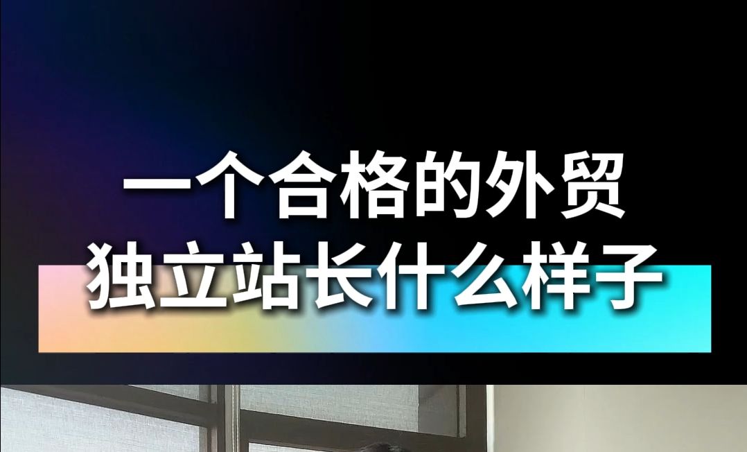 一个合格的外贸独立站长什么样子哔哩哔哩bilibili