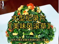 Video herunterladen: 大型纪录片《美味风滚草》持续为您播出！