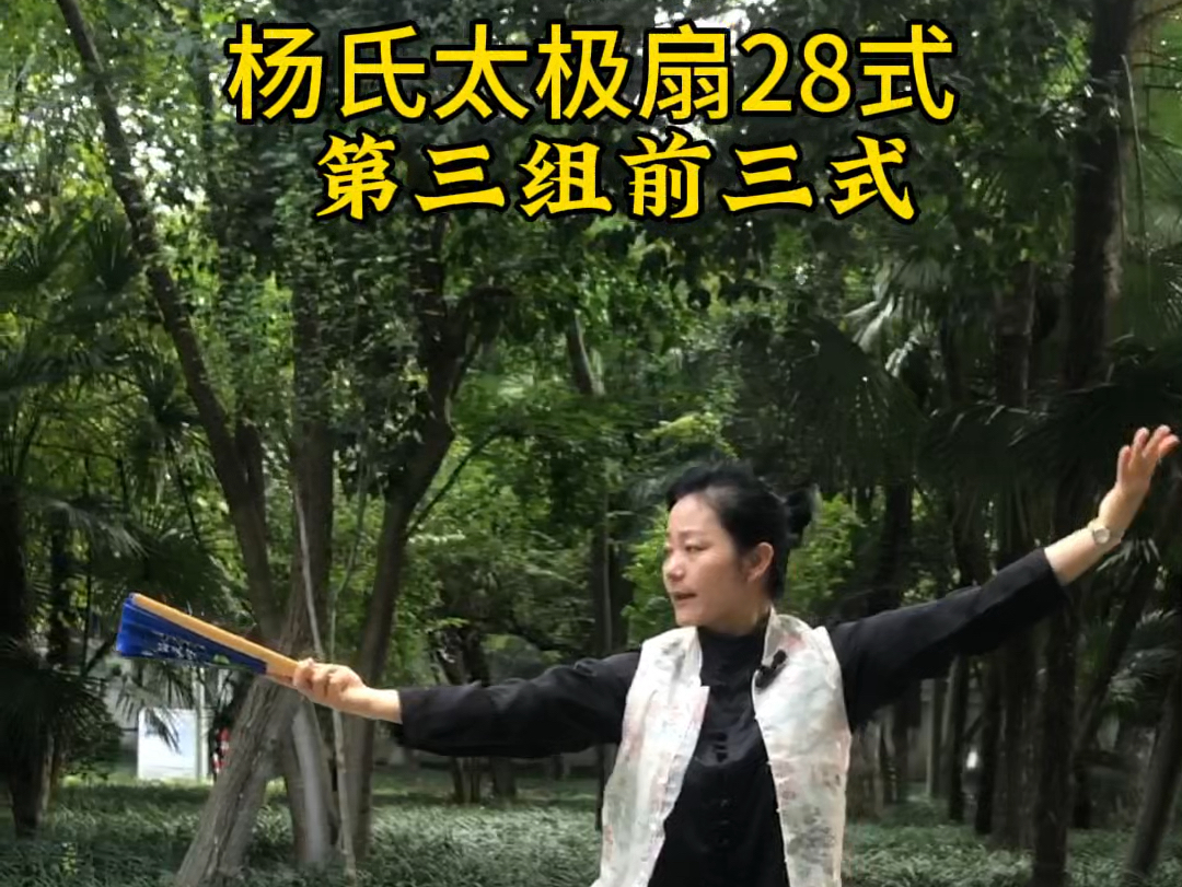 24式养生太极扇完整视频大全教学(24式养生太极扇完整视频大全教学分解)