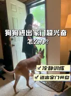 Download Video: 狗狗进出家门超兴奋怎么办？