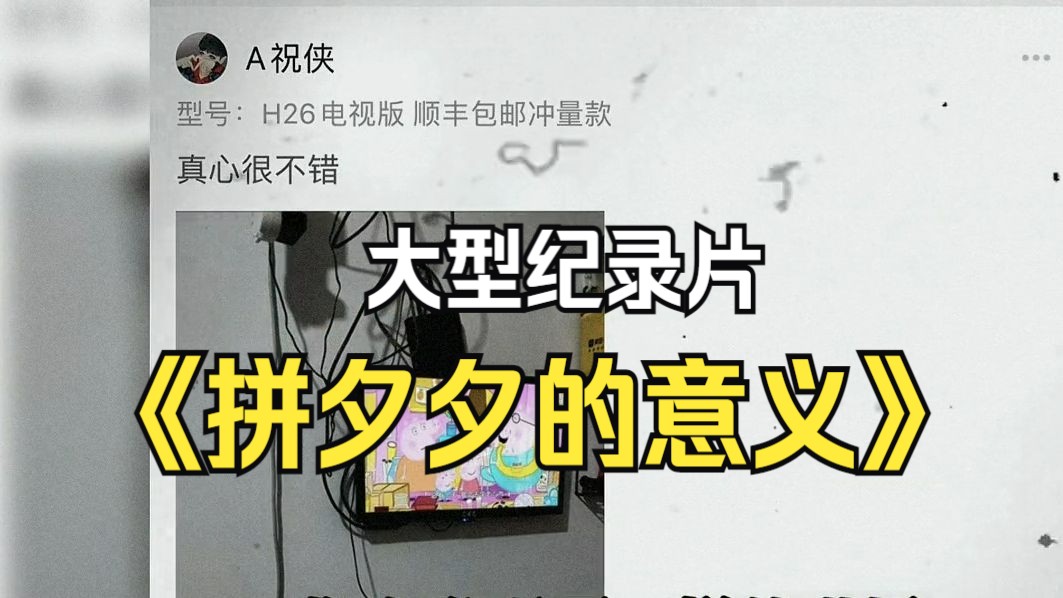 如此为广大基层和消费者考虑的平台,它有它存在的意义.大型纪录片《拼夕夕的意义》持续为您播出哔哩哔哩bilibili