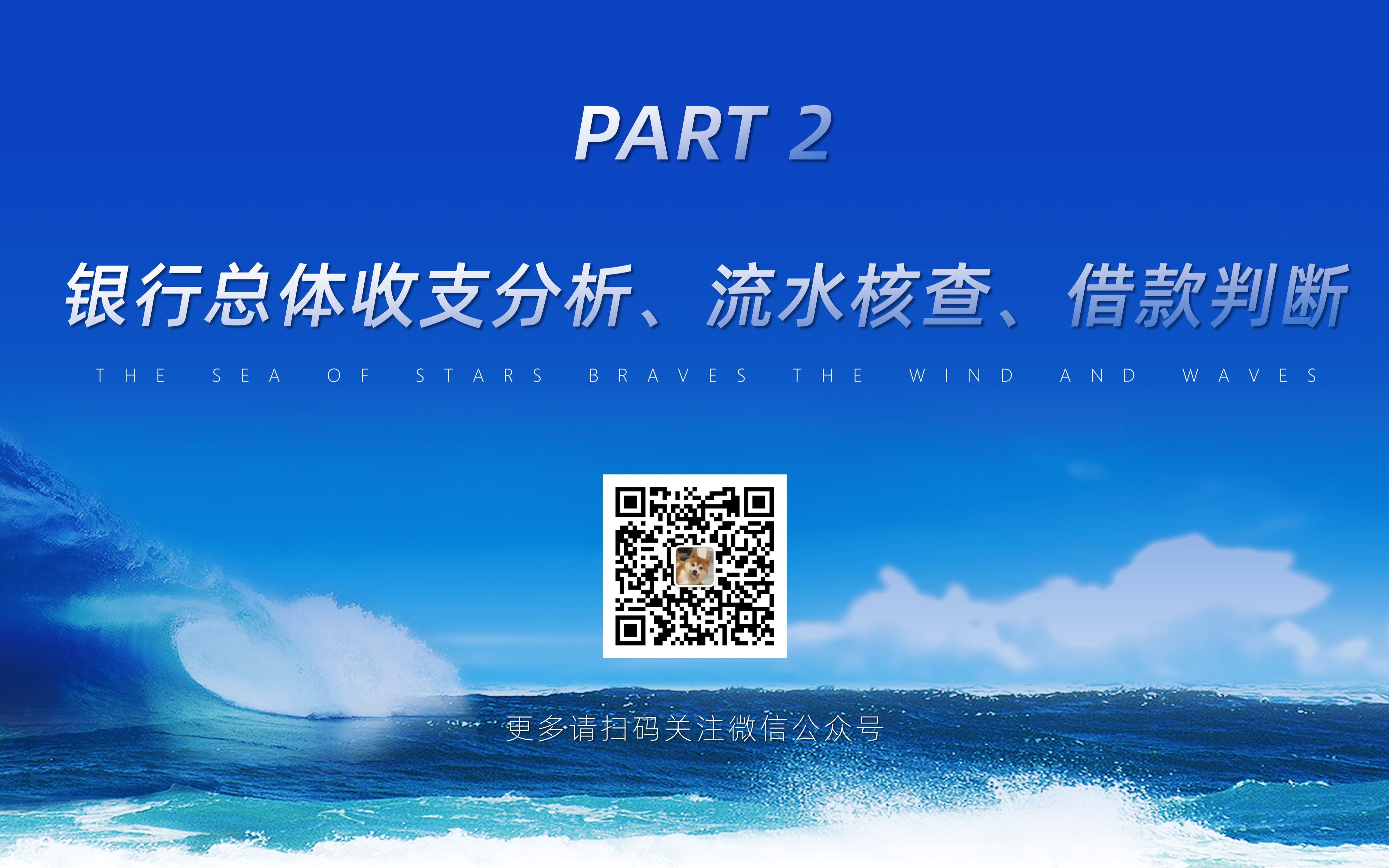 0204.审计中如何对银行存款进行总体收支分析、流水核查、借款判断哔哩哔哩bilibili