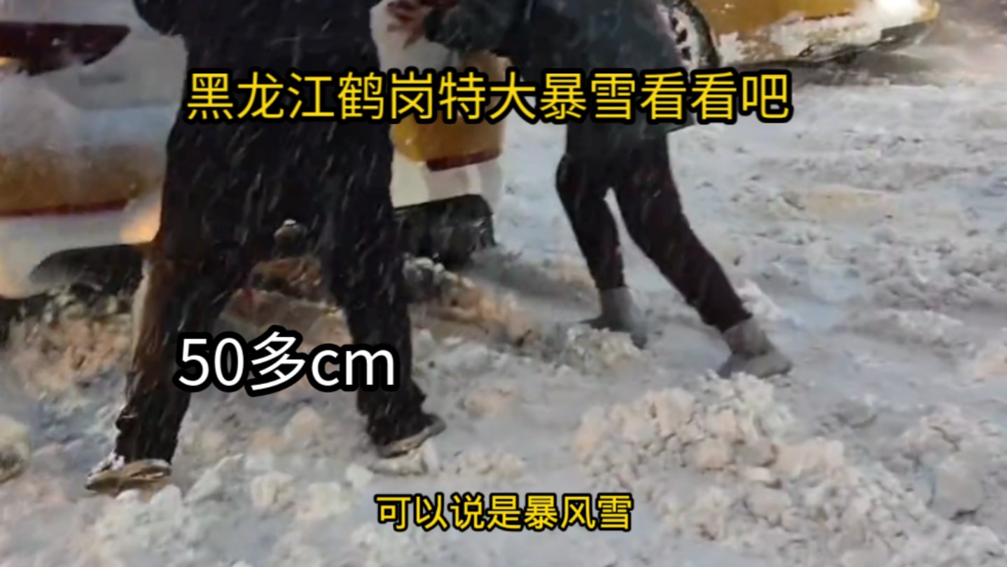 黑龙江鹤岗18点05分突降特大暴雪,画面太吓人了,你们都看看吧哔哩哔哩bilibili