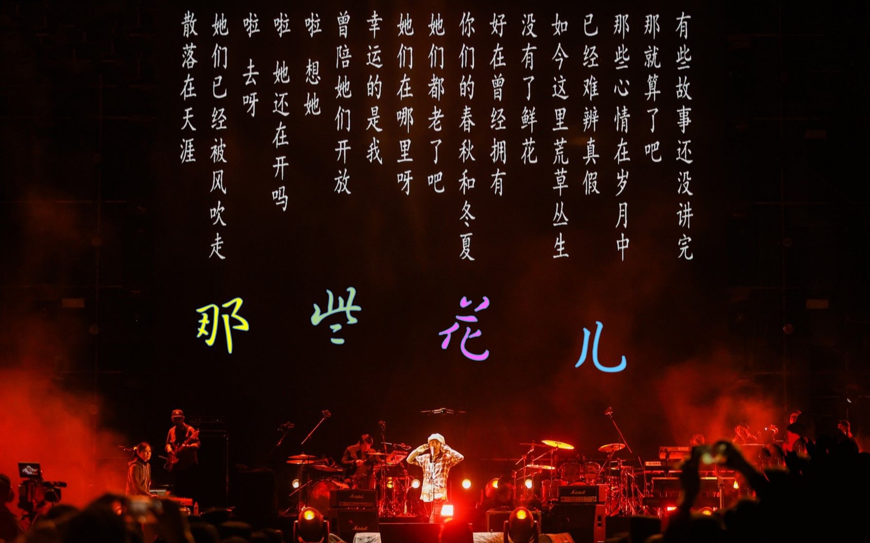 【音乐向】朴树-那些花儿