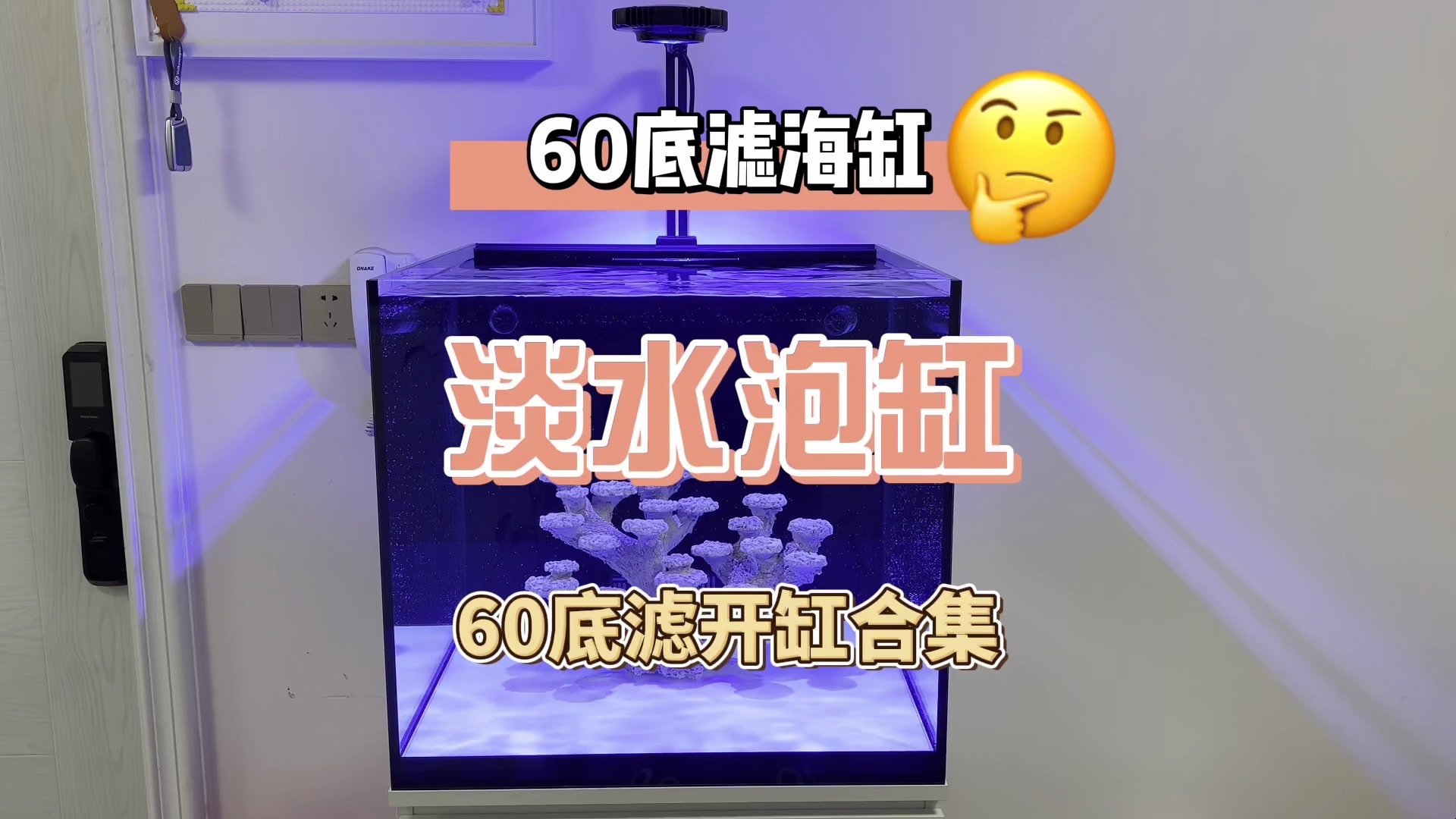 60底滤海缸之淡水泡缸及水泵模式选择哔哩哔哩bilibili