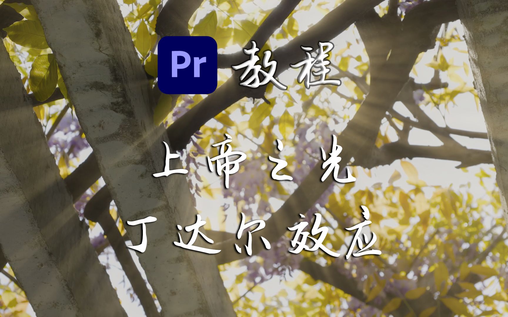 【PR教程】shine 丁达尔效应 上帝之光_哔哩哔哩_bilibili