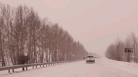 大雪后的哈尔滨202国道