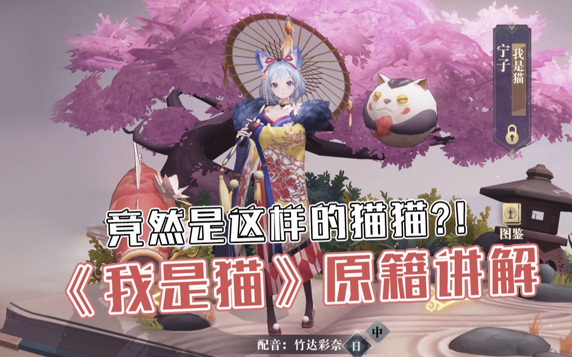 幻书启世录我是猫原籍详解