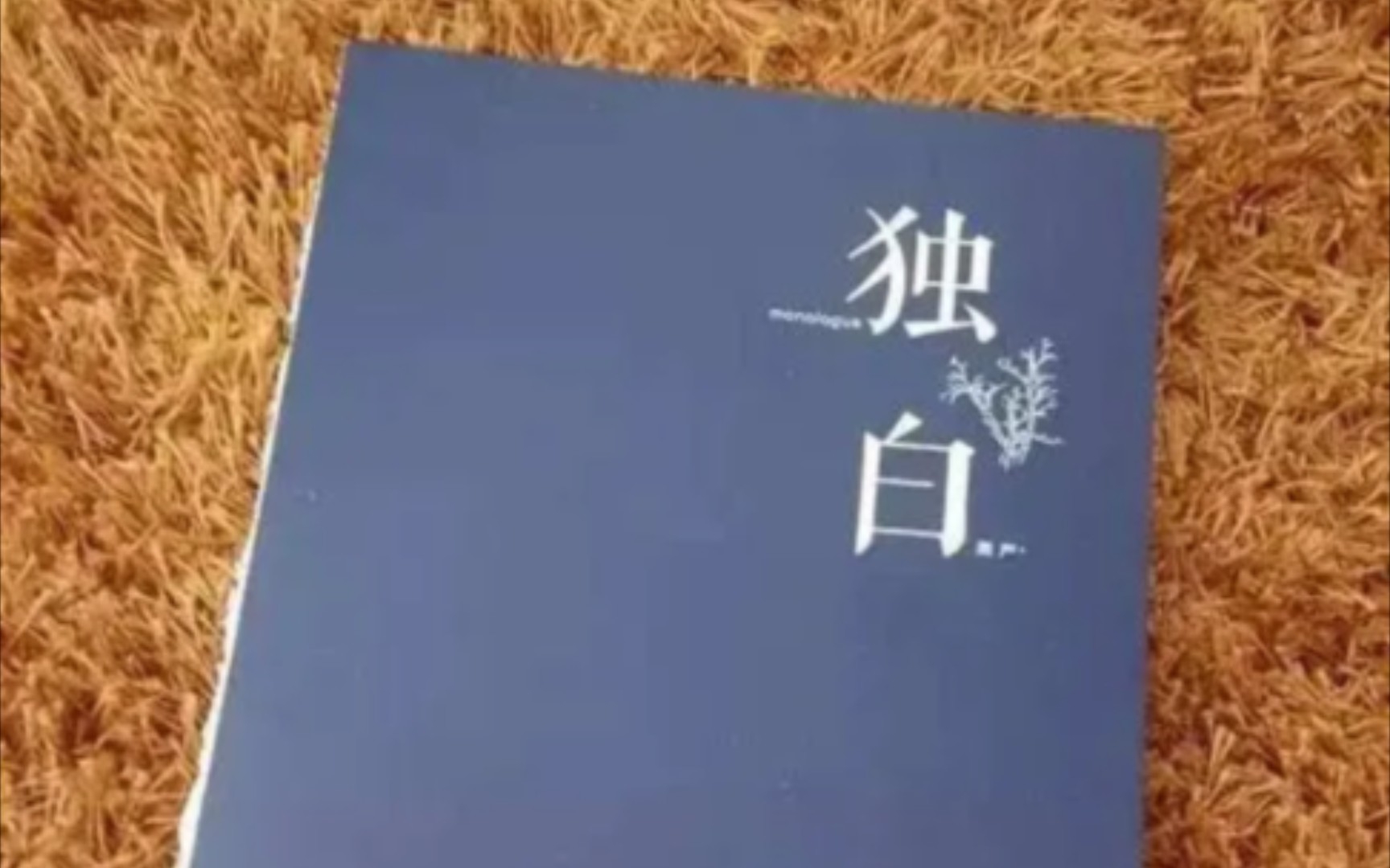 余光中《独白》哔哩哔哩bilibili