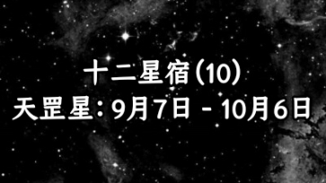 十二星宿之天罡星:最犟的人,小自我中带着怀疑,只信自己亲眼看到的.哔哩哔哩bilibili