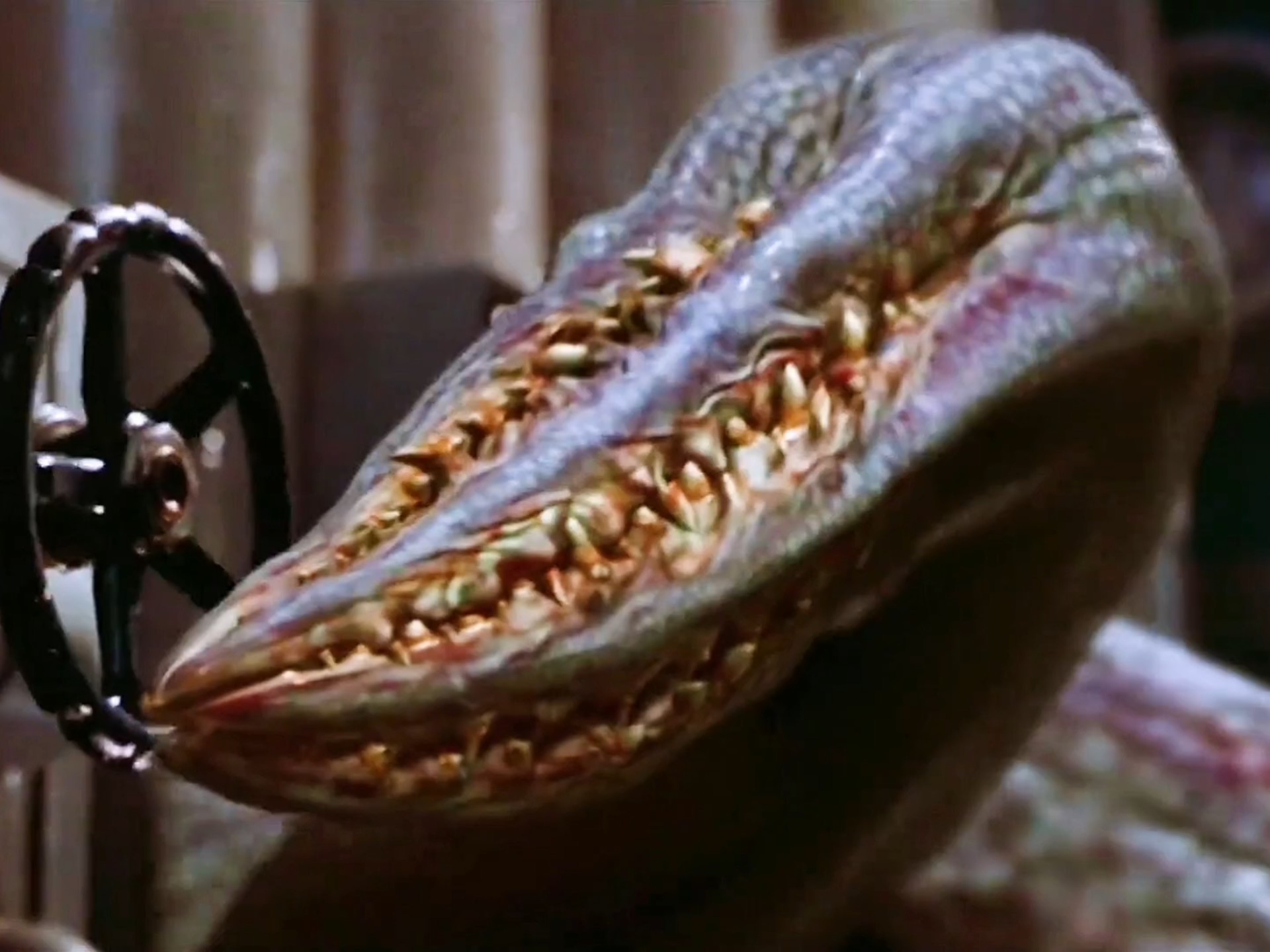 深海恐惧症慎入!这怪物出现的瞬间差点把我送走《极度深寒》