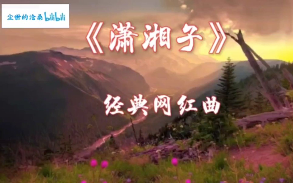 好听的背景音乐 潇湘子