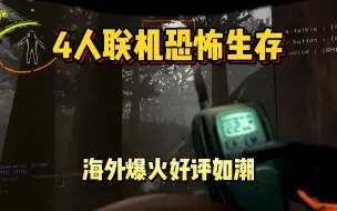 Download Video: 海外爆火！同时在线人数10万加！上线一个月好评如潮！全新多人联机恐怖游戏《致命公司 | Lethal Company》