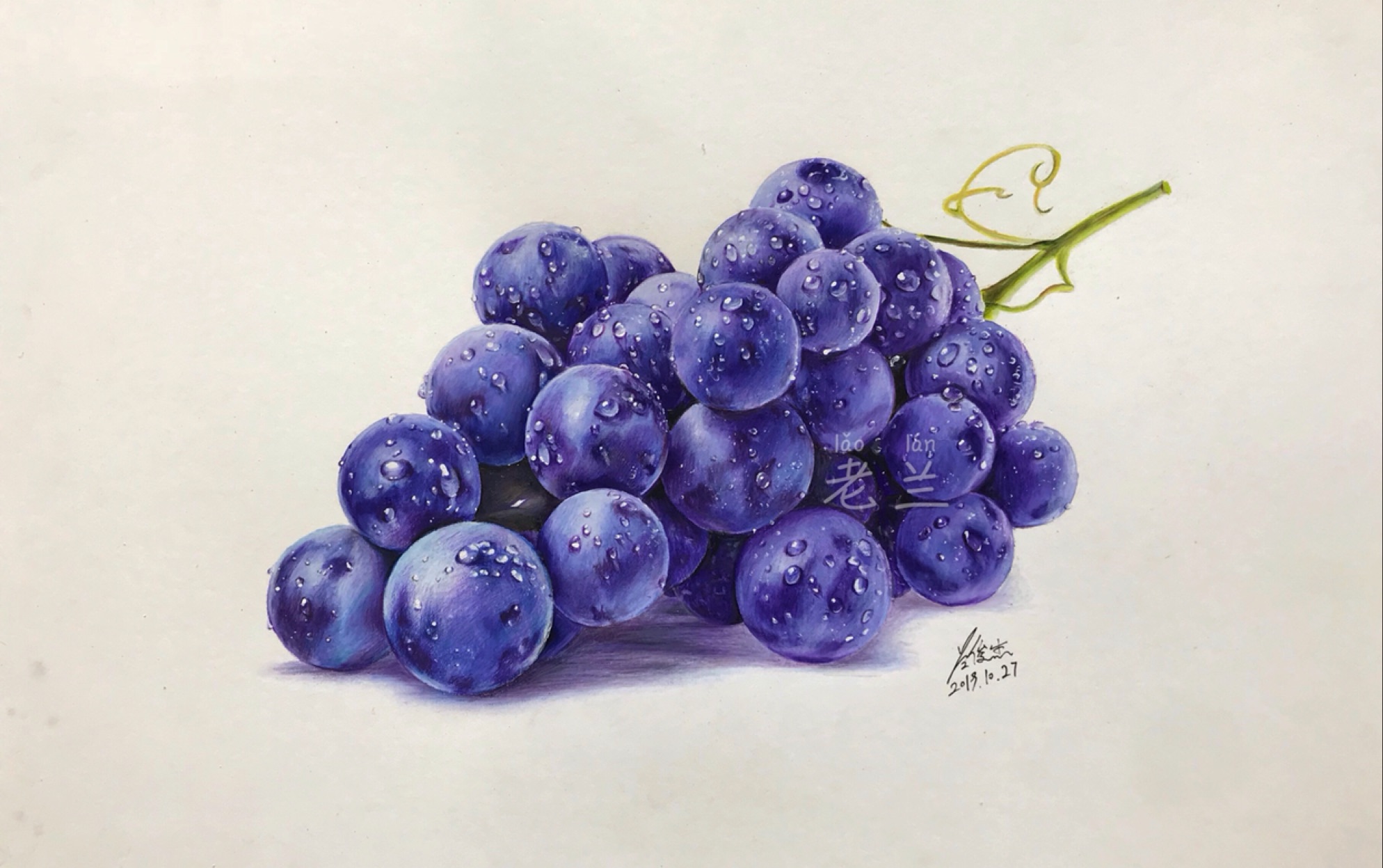 【彩铅】原创葡萄