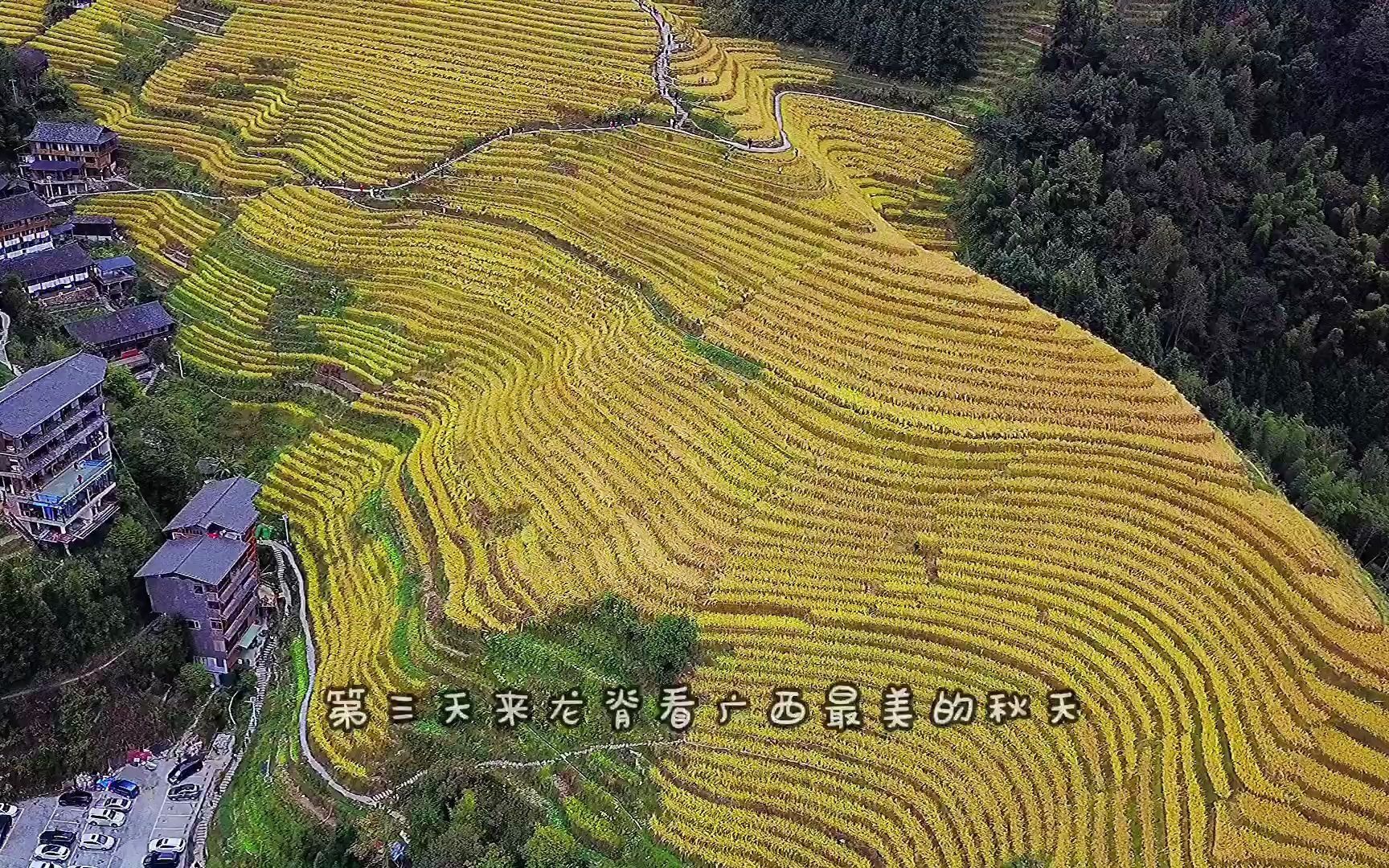 自驾中国之广西桂林|自驾桂林,你有这条线路就够了哔哩哔哩bilibili