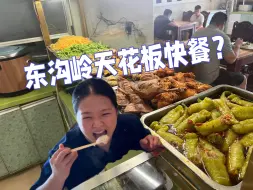 Download Video: 东沟岭有天花板级快餐？20块两肉一素，圆脸妹大快朵颐