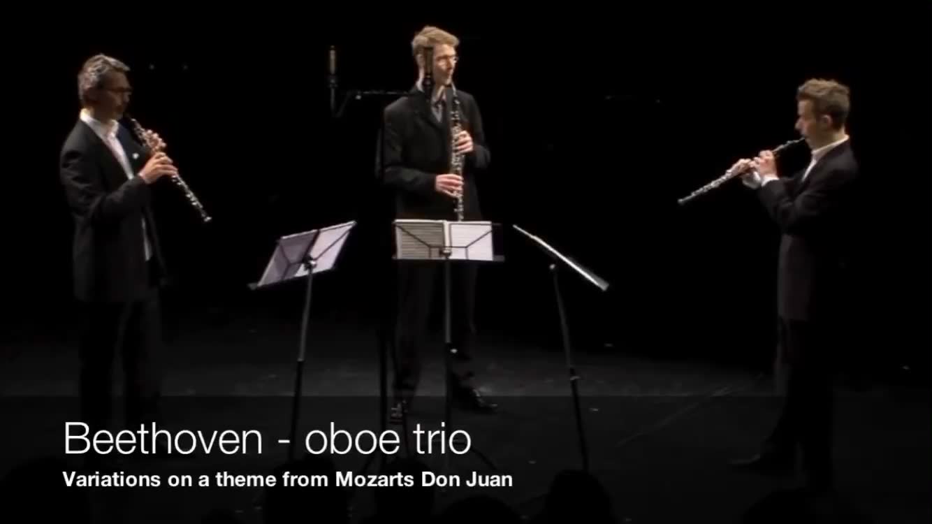 [图]贝多芬双簧管三重奏 “唐璜” Oboe trio “Don Juan” of L.V. Beethoven