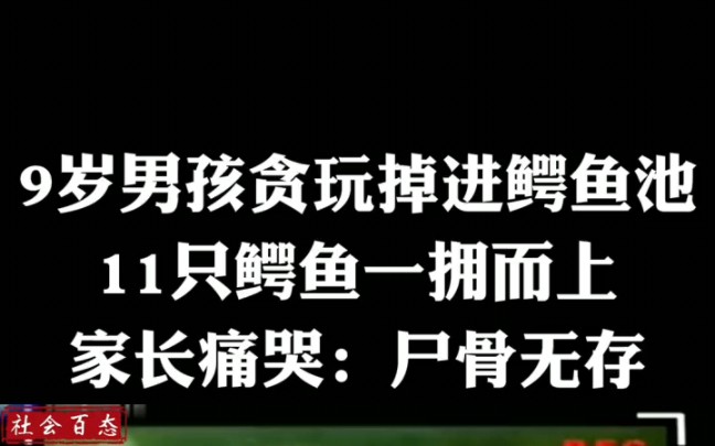 [图]9岁男孩贪玩掉进鳄鱼池，惨遭11只鳄鱼吞噬，家长痛..