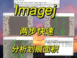 下载视频: ImageJ两步快速分析细胞划痕面积